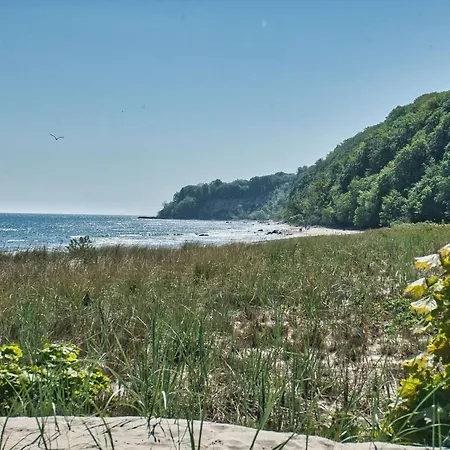 Kleines Aber Feines Ferienhaeuschen In Strandnaehe - Tiny Nr 813 Holiday home *