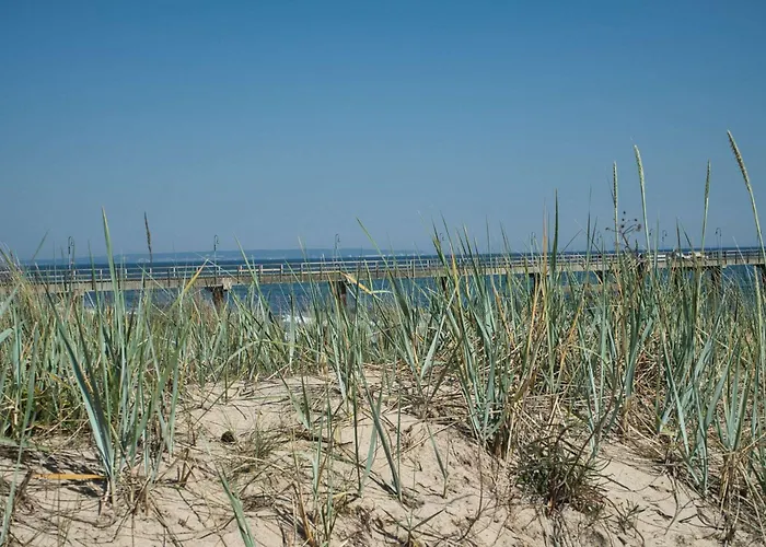 Holiday home Tiny Nr 813 Goehren (Ruegen)